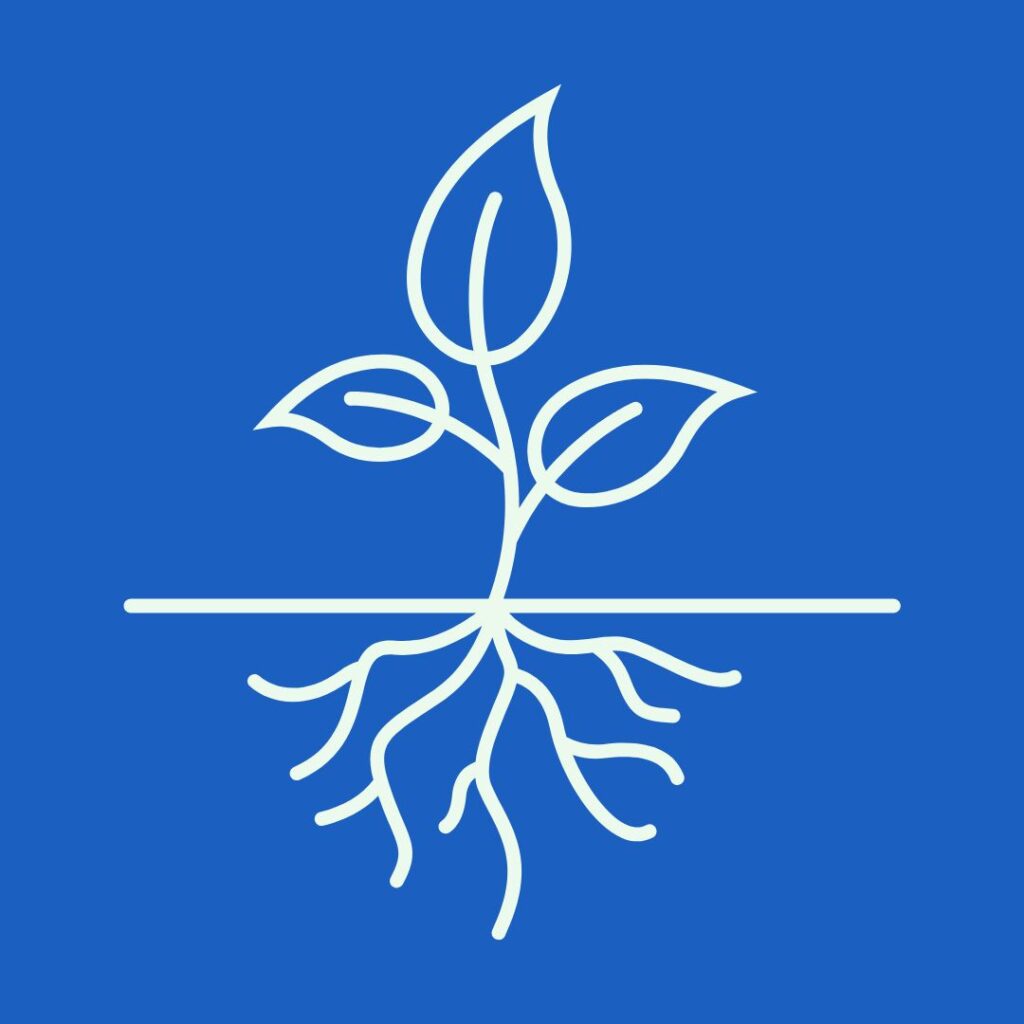 Root-Cause Healing, Not Just Symptom Relief