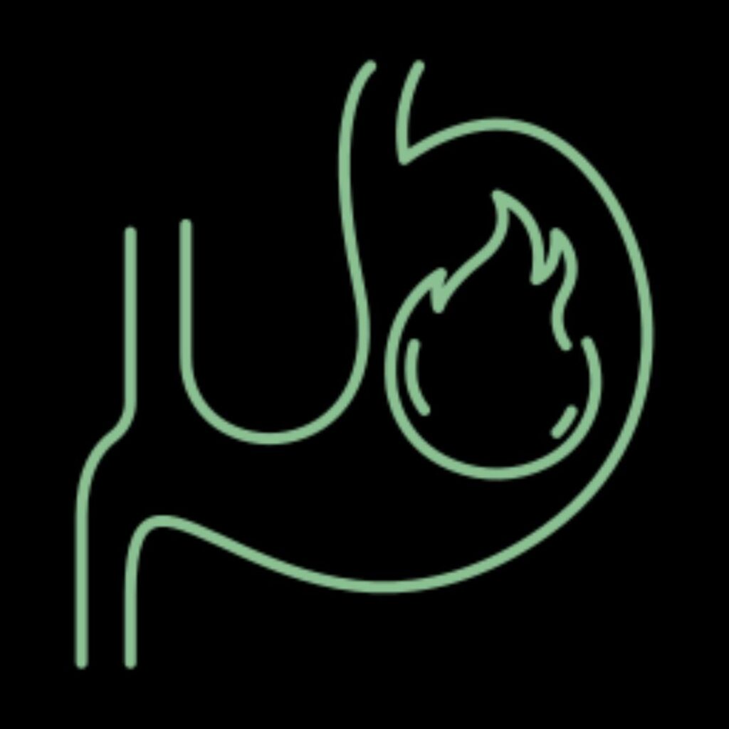 Digestive fire icon representing improved gut metabolism