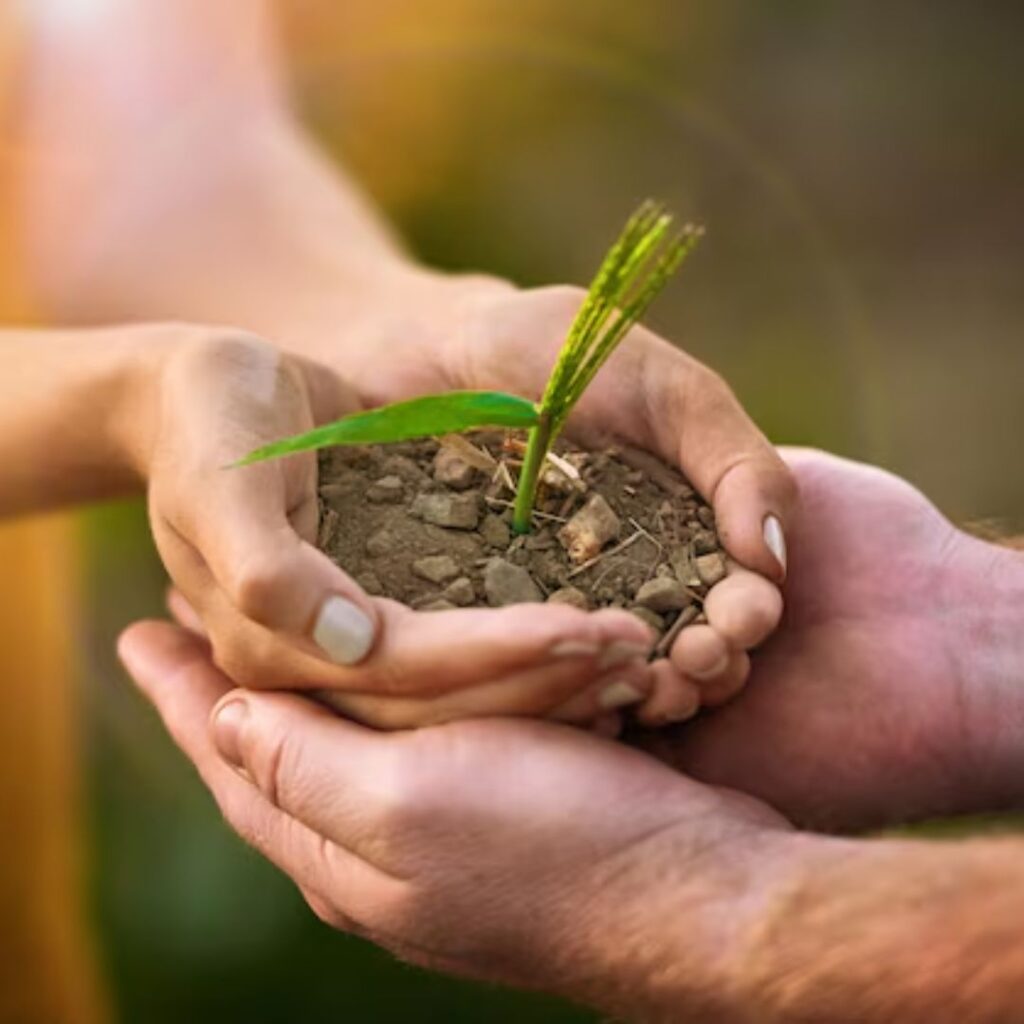 Infertility treatment in Ayurveda