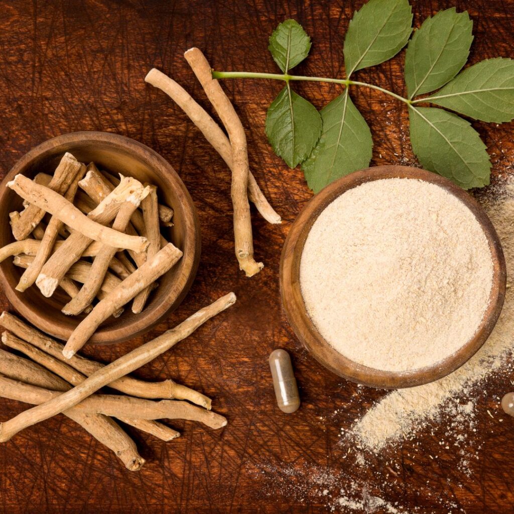 Dried Ashwagandha roots used in Ayurvedic fertility treatment