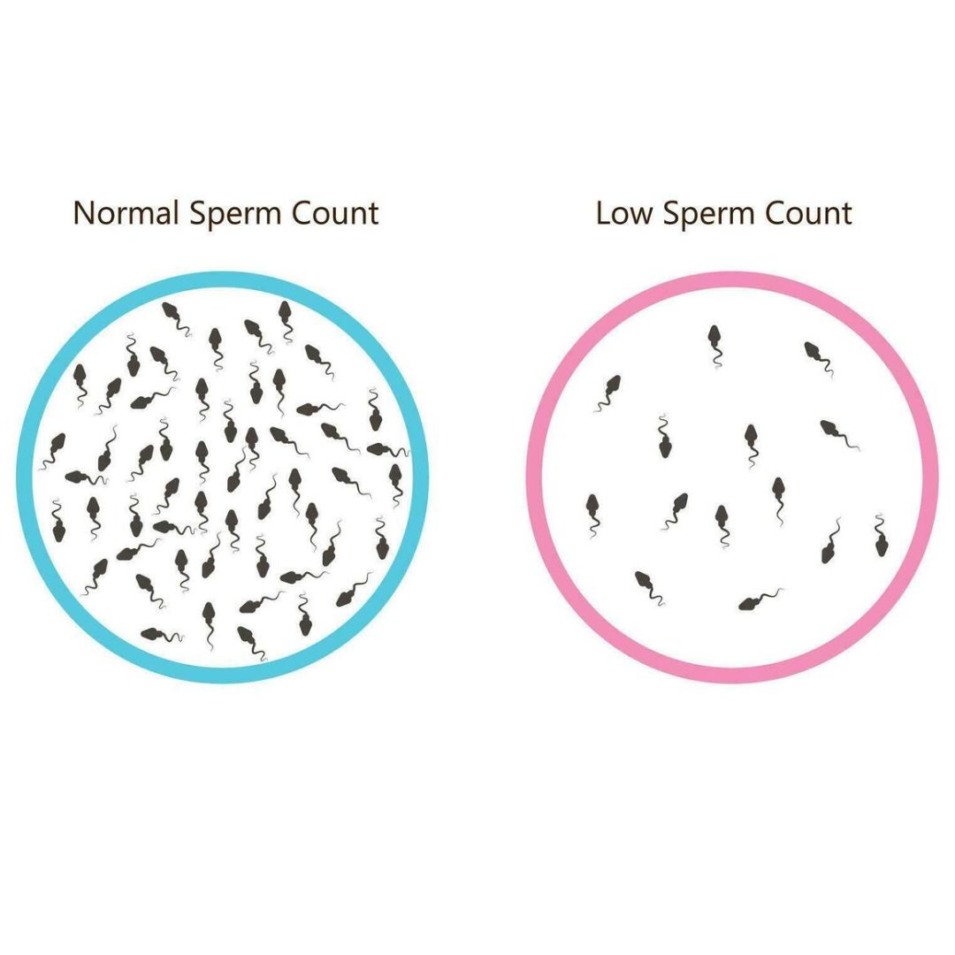 Male reproductive problems