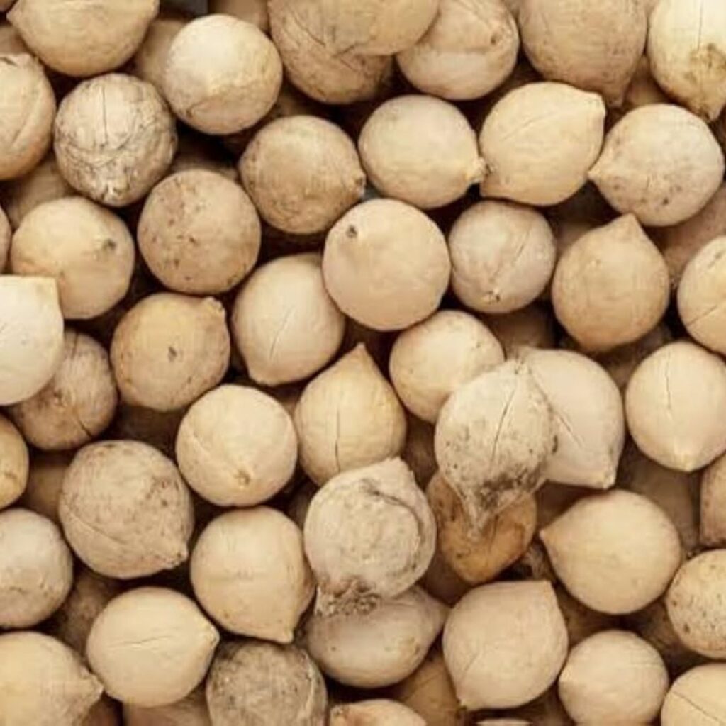 Putrajeevak and Phala Ghrita used in Ayurvedic treatments for conception support