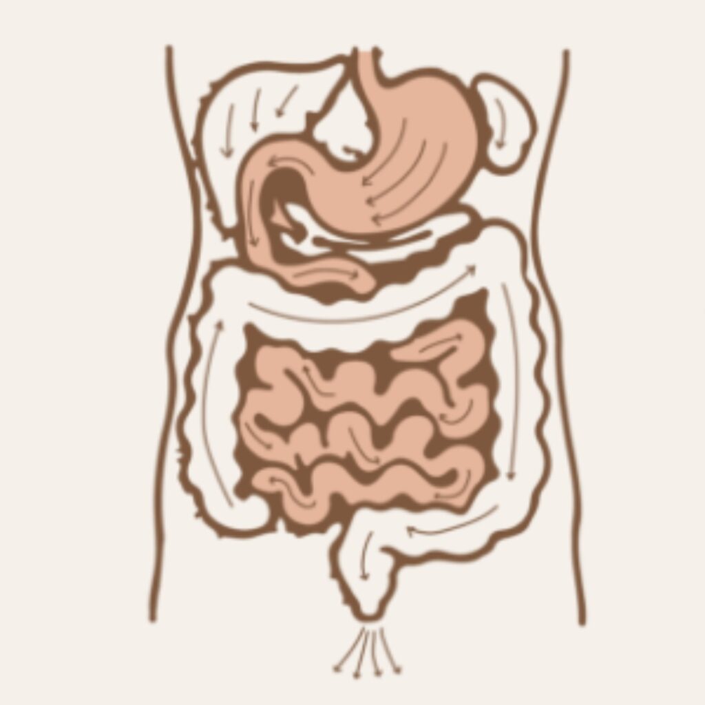 Panchakarma types - Virechana