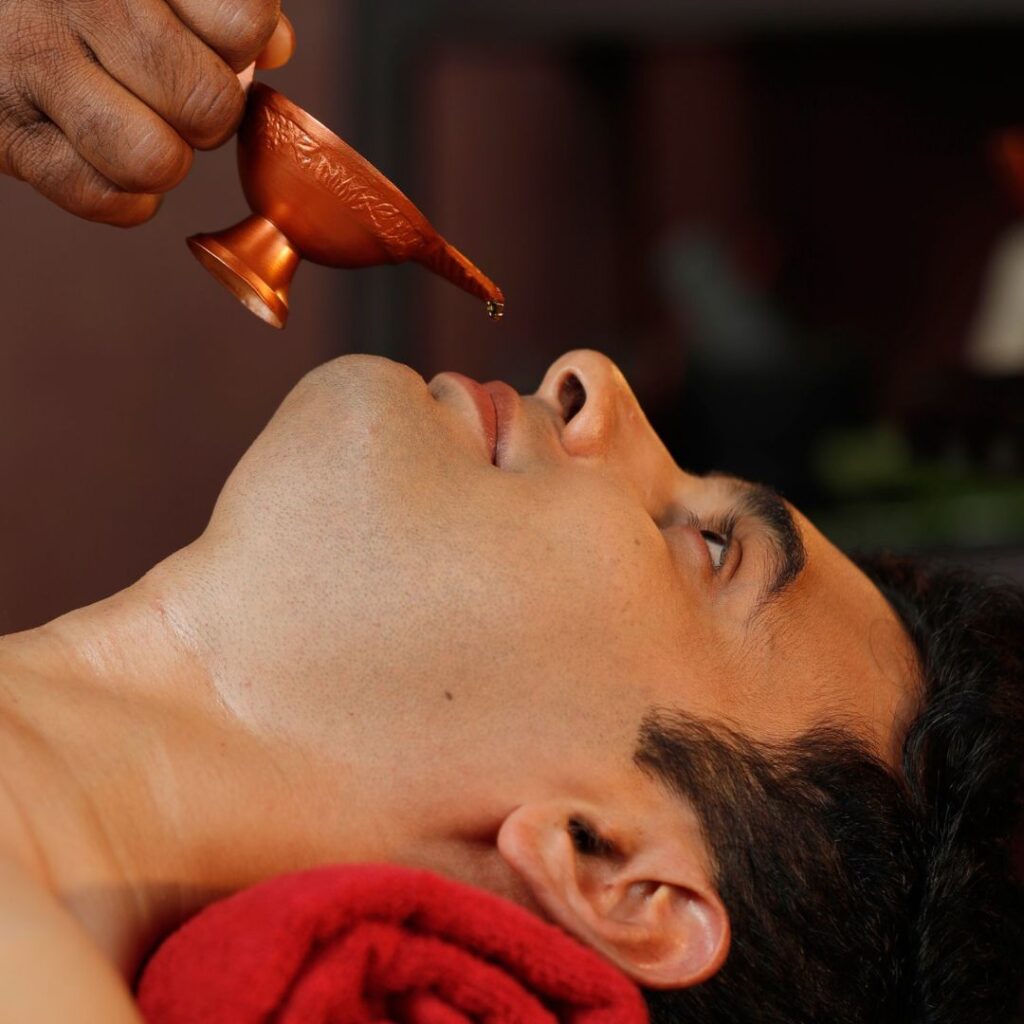 Ayurvedic Treatment India