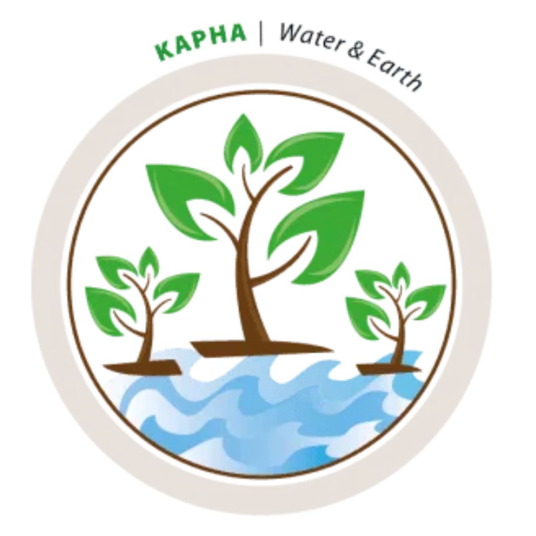 Kapha dosha imbalance symptoms