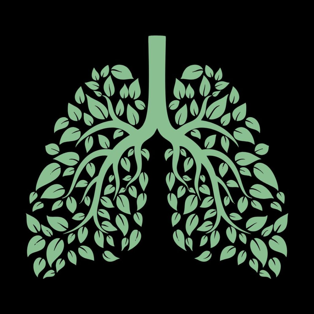 Benefits of Nasya Karma