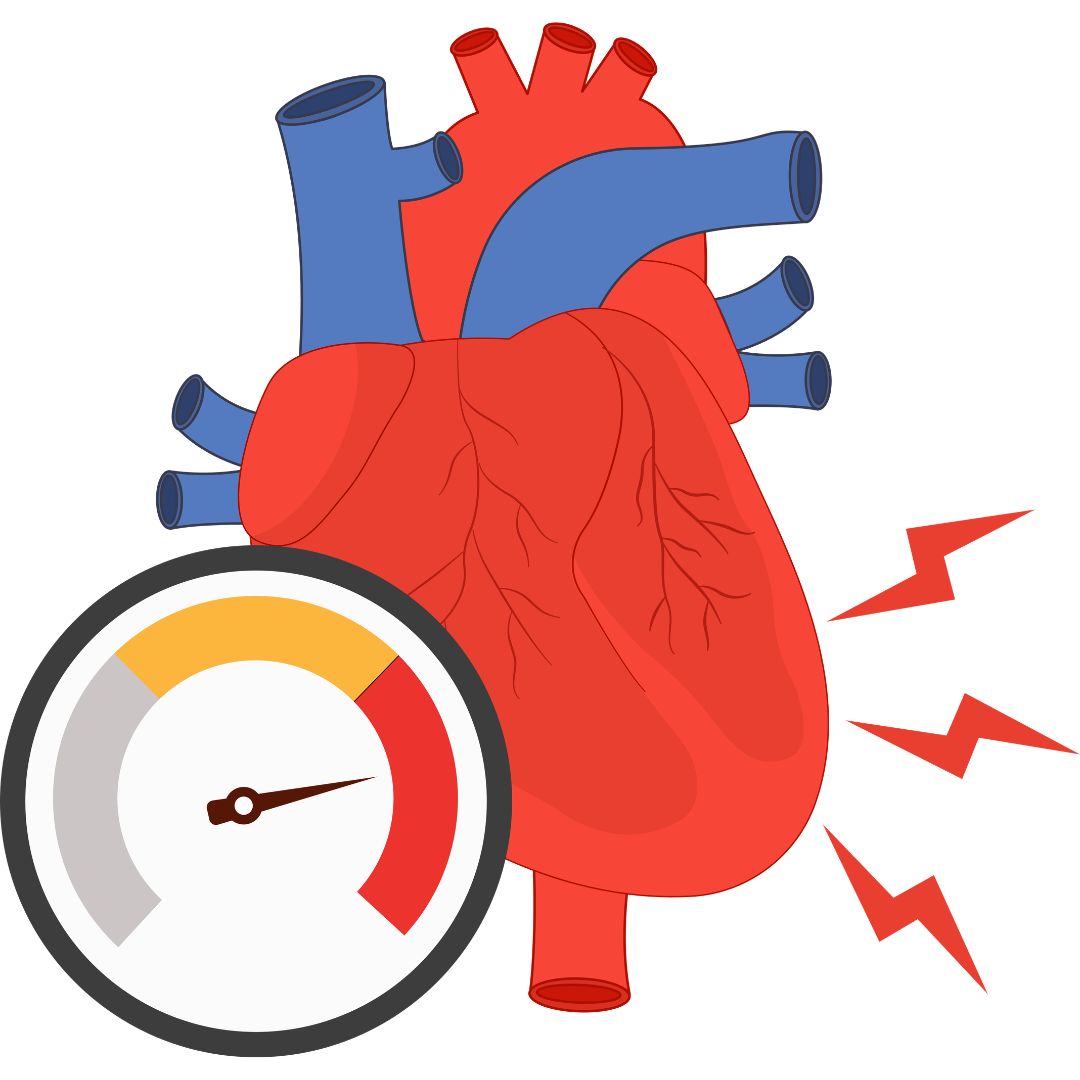 High blood pressure affecting kidney health and kidney function