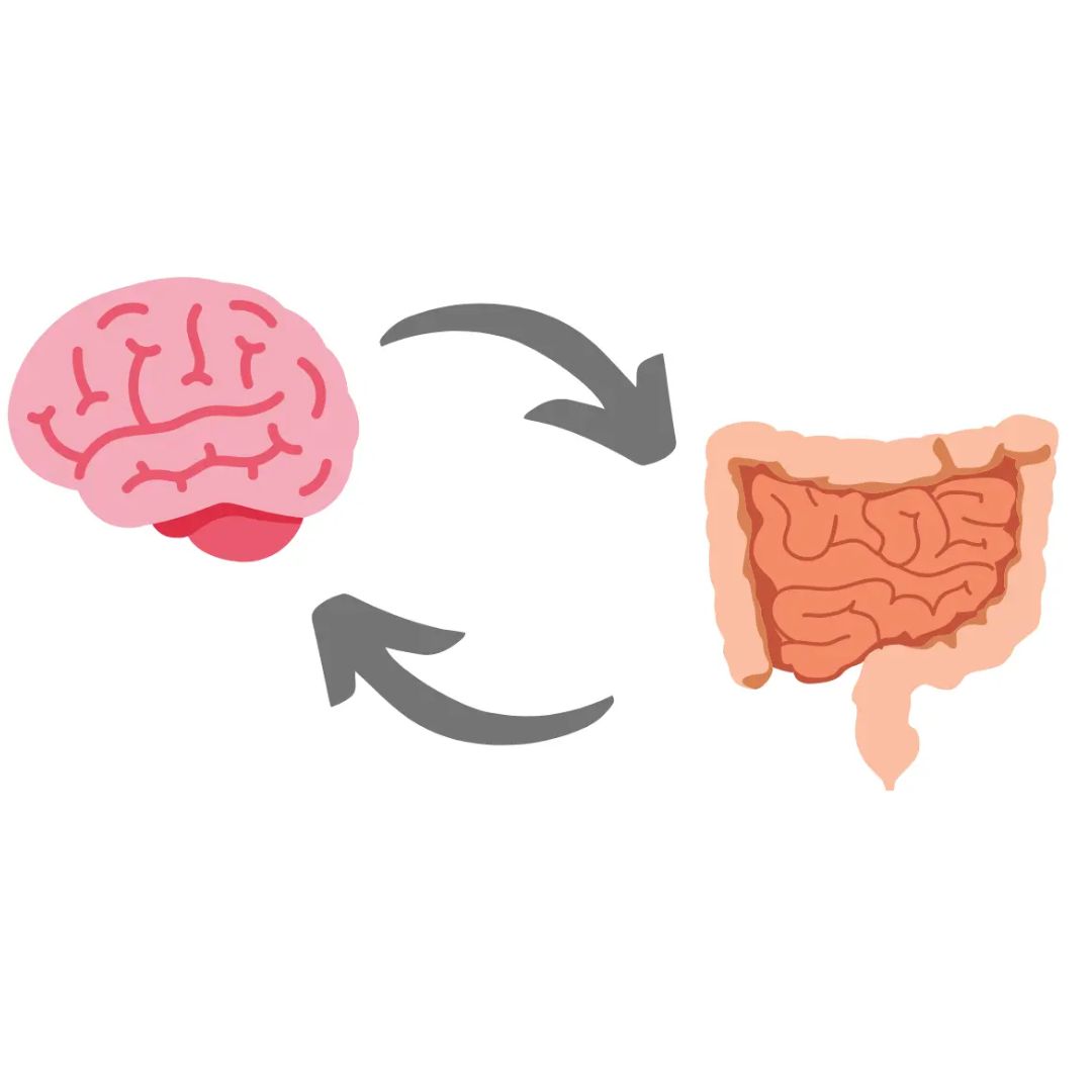 Weak digestion and gut–brain stress causing toxin buildup that leads to anxiety and irritability, addressed in the Best Ayurvedic Treatment for Psychiatric Problems