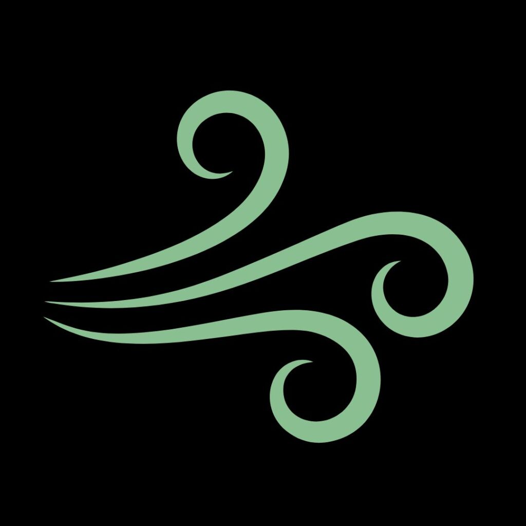 Ayurvedic support for Vata dosha balance and internal regulation