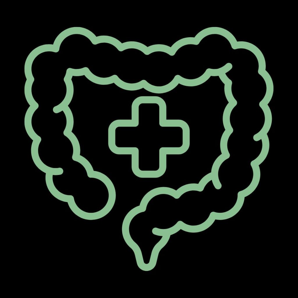 Digestive system support and internal cleansing in Ayurveda