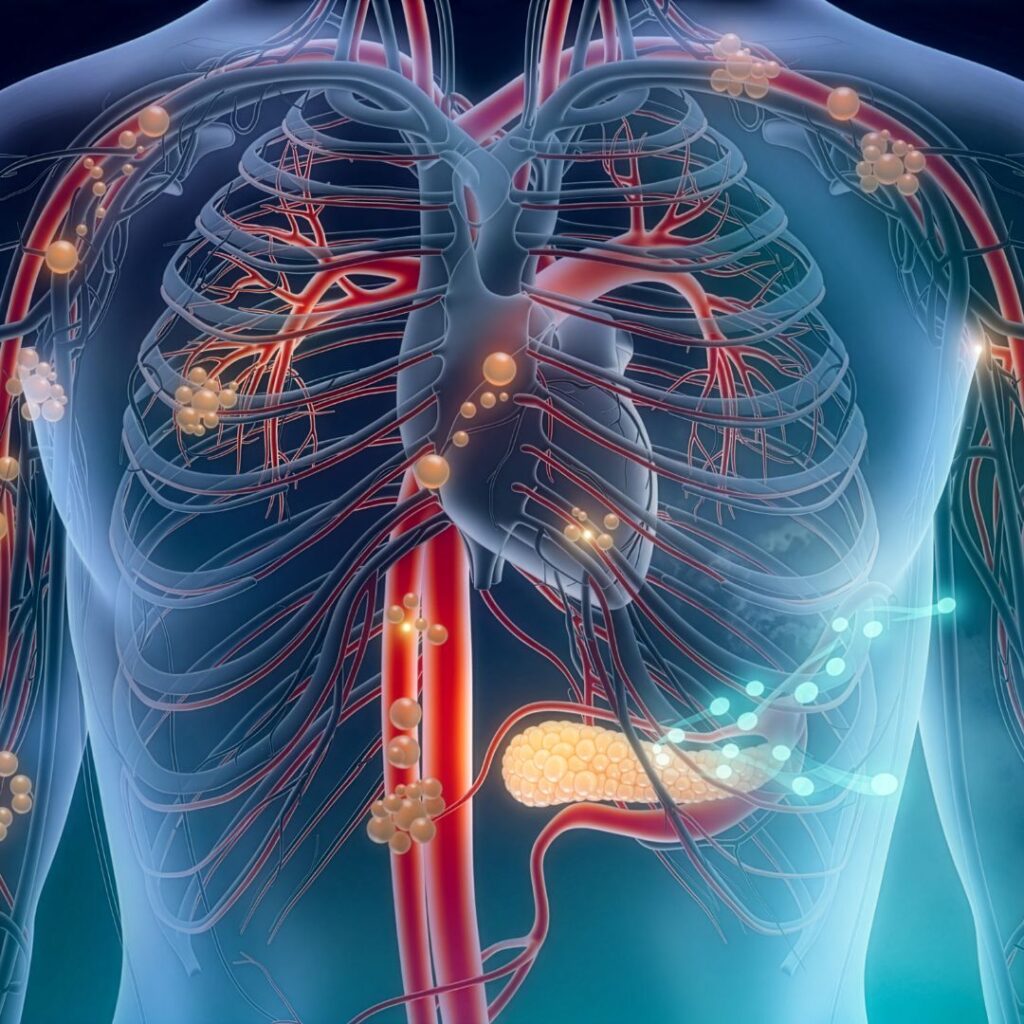 Improved blood circulation and nourishment supported by Abhyanga massage procedure techniques