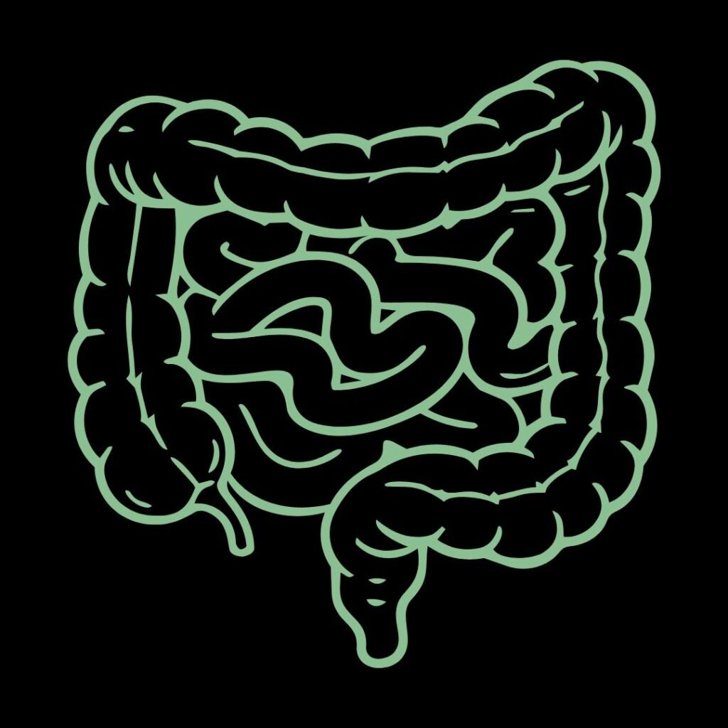 Intestinal cleansing and improved bowel regulation in Ayurvedic detox therapy