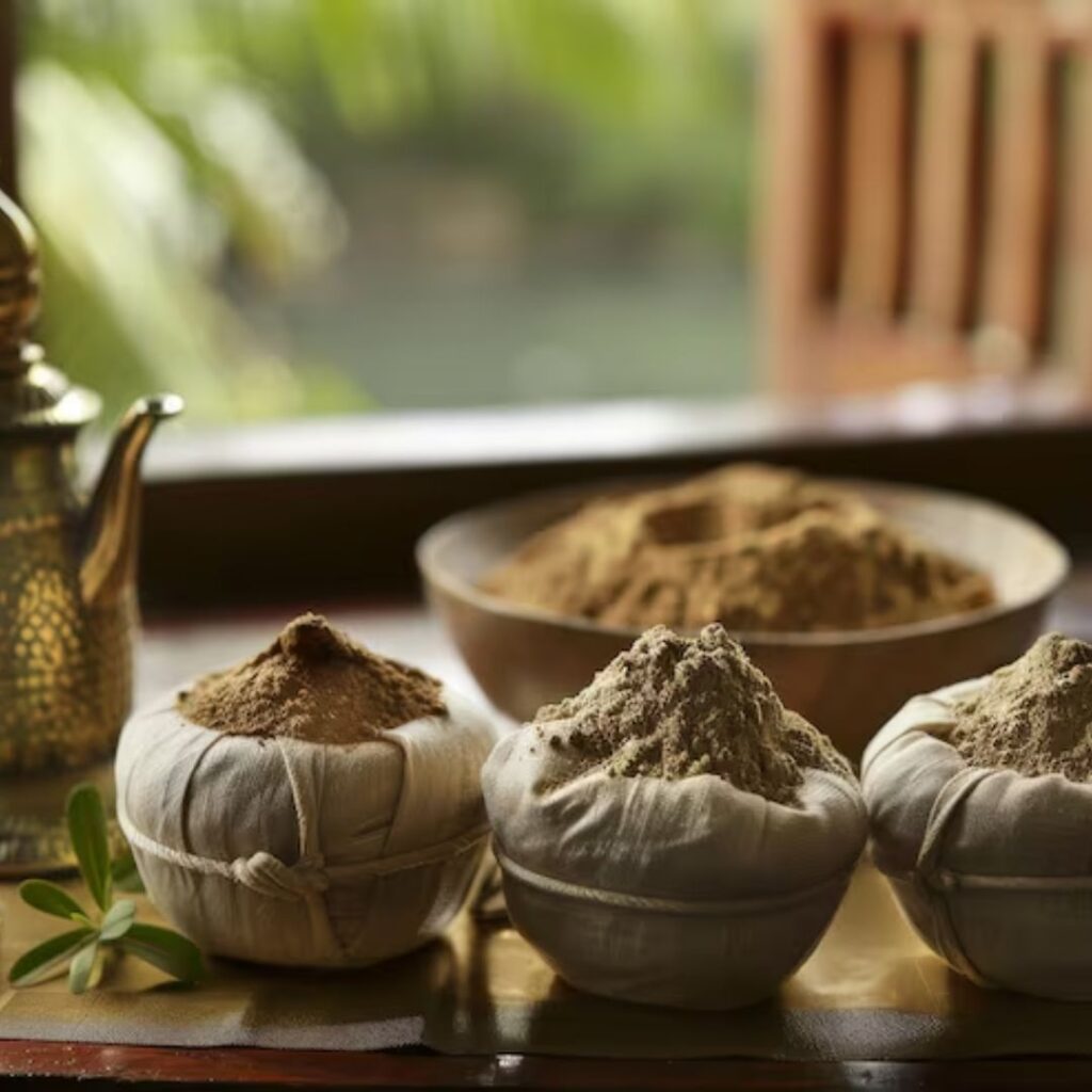 Selection of herbal paste and powders for body scrub massage therapy in Utsadana and Udvartana