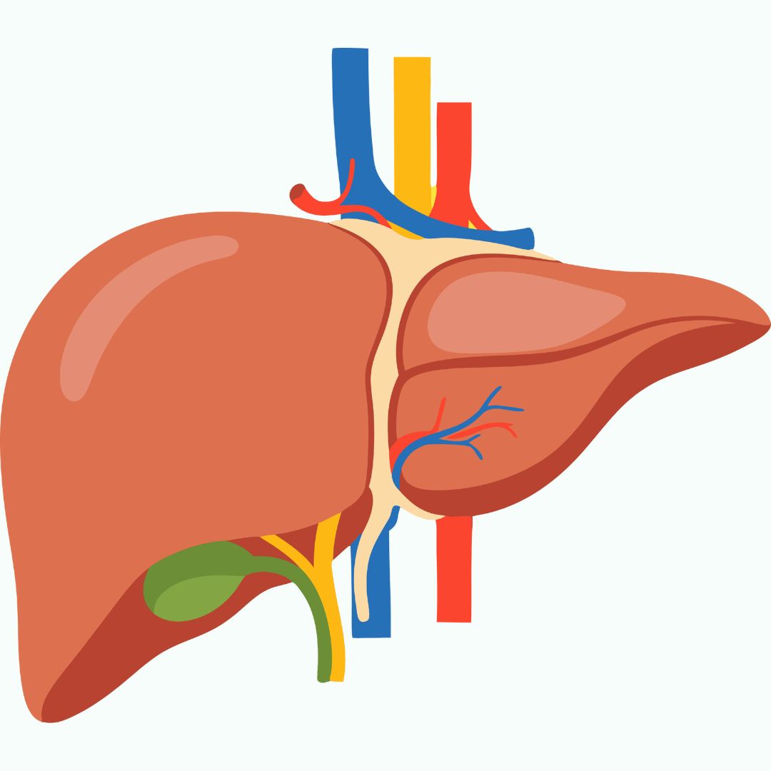 Liver and bile duct disorders